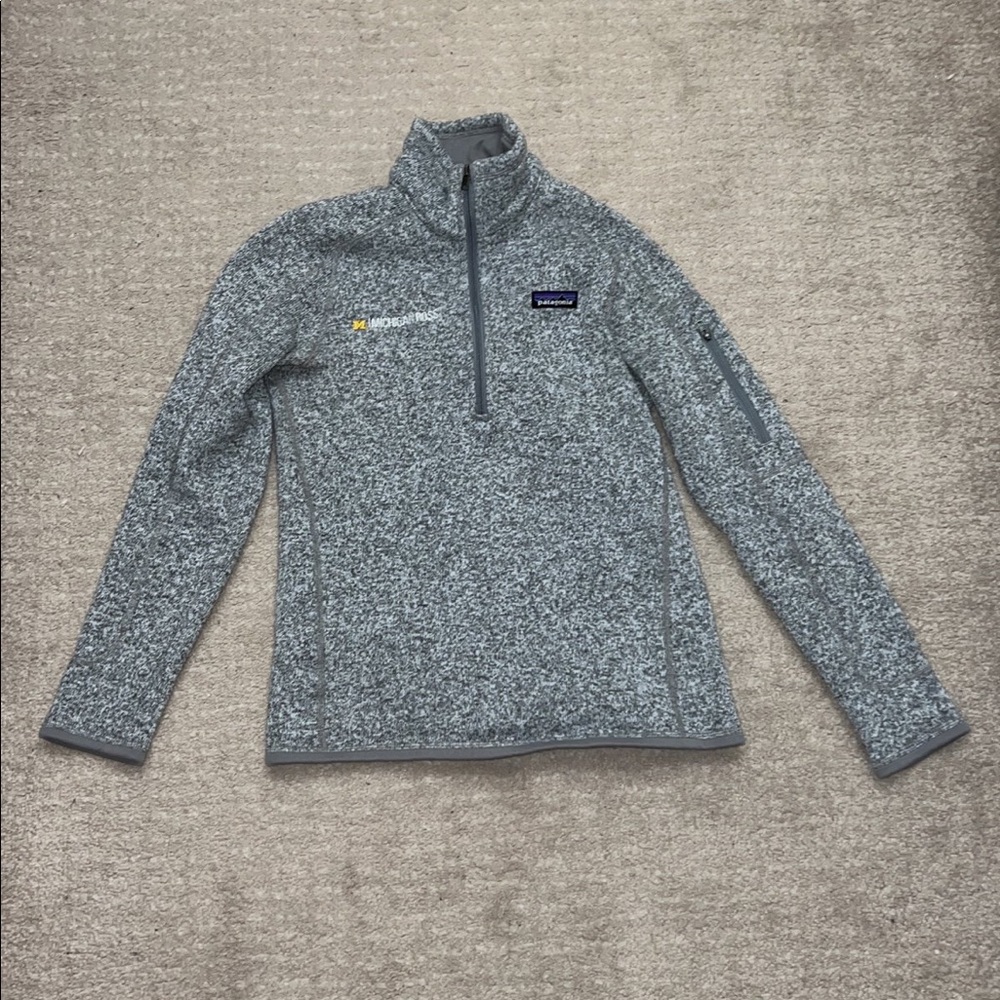 Michigan Ross Patagonia Size Small